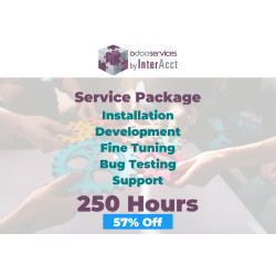 250 Hours - Development/Support Services for Odoo